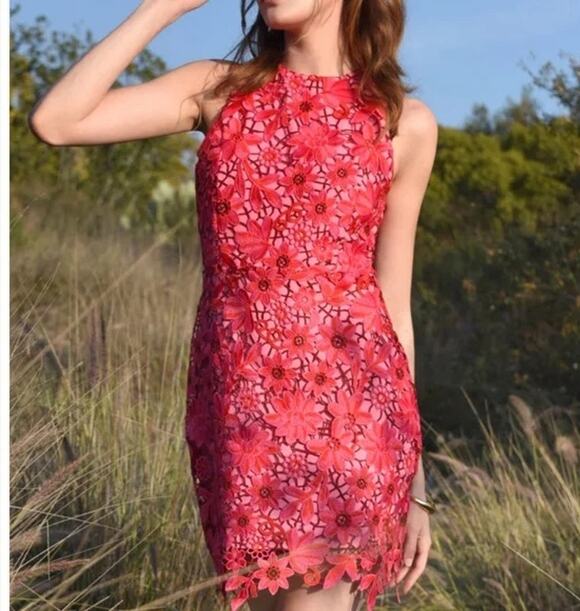 Adelyn Rae Dresses & Skirts - Adelyn Rae Mila Lace Floral Embroidered Mini Sheath Dress Red Pink